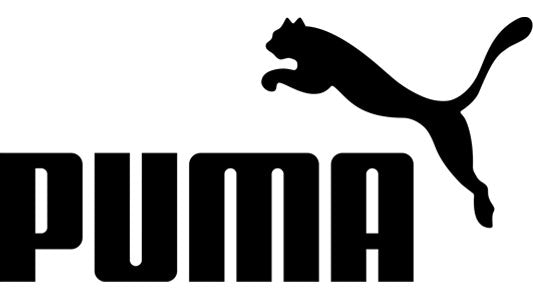 Chaussures Handball Puma